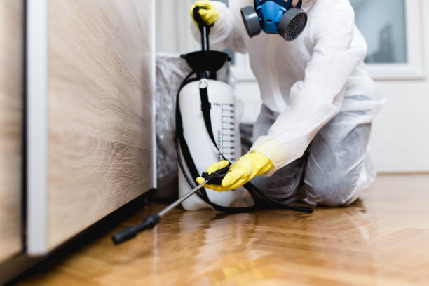 Best Termite Control Services  in Belleair Bluffs, FL