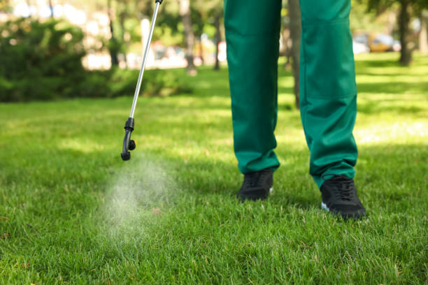 Best Affordable Pest Control Services  in Belleair Bluffs, FL