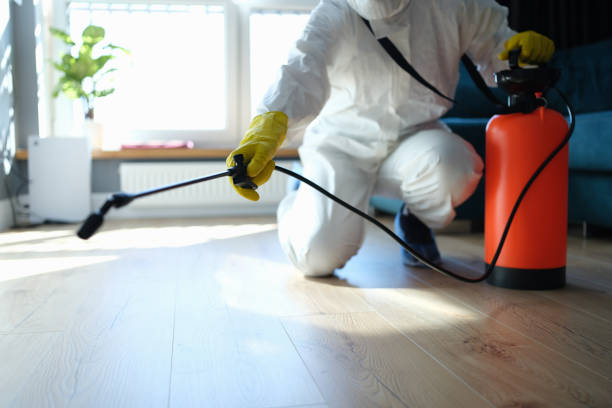 Professional Pest Control in Belleair Bluffs, FL
