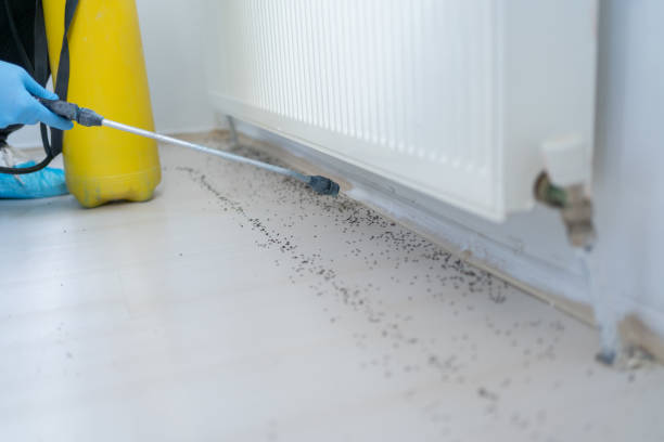 Best Wildlife Control Services  in Belleair Bluffs, FL