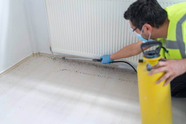 Best Mosquito Control Services  in Belleair Bluffs, FL